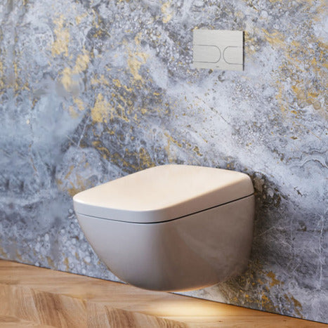 Are TOTO Washlet Toilets Worth It? A Guide to Japanese Smart Toilets