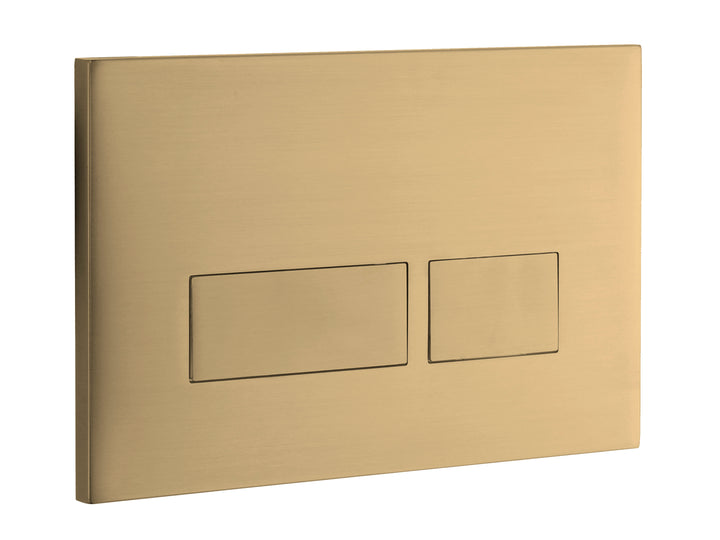 Abacus Trend 2 Flush Plate In Brushed Brass