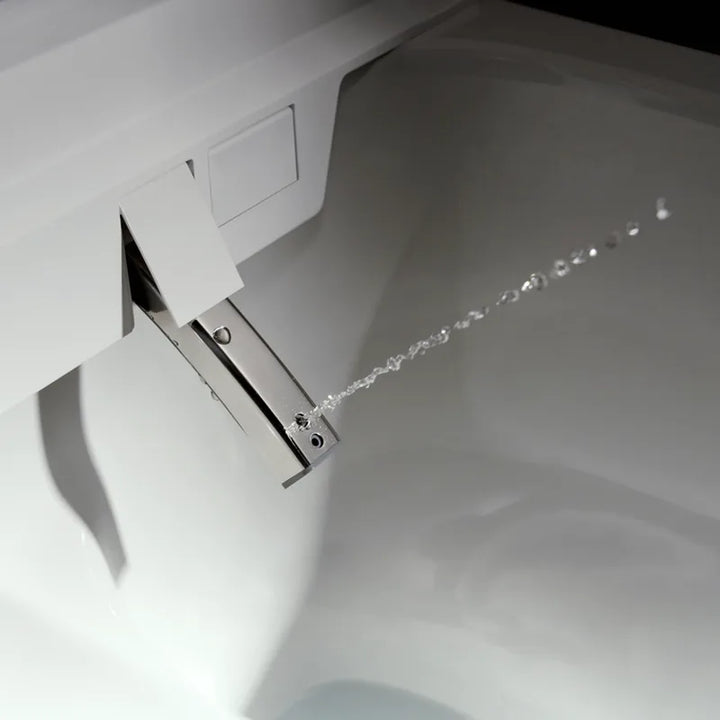 Hansgrohe LavaPura Element S Wall Hung Shower Toilet