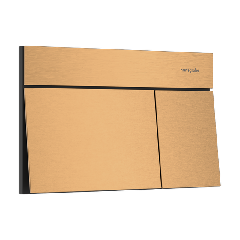 Hansgrohe iFrame Element E Flush Plate Brushed Bronze