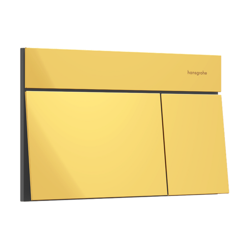Hansgrohe iFrame Element E Flush Plate Polished Gold Optic