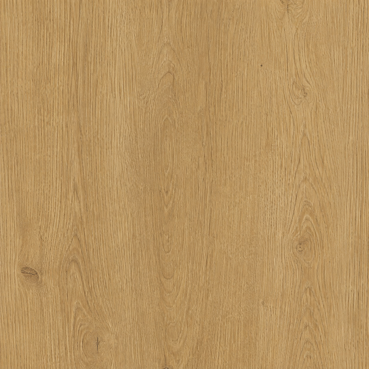 Kansas Oak swatch image