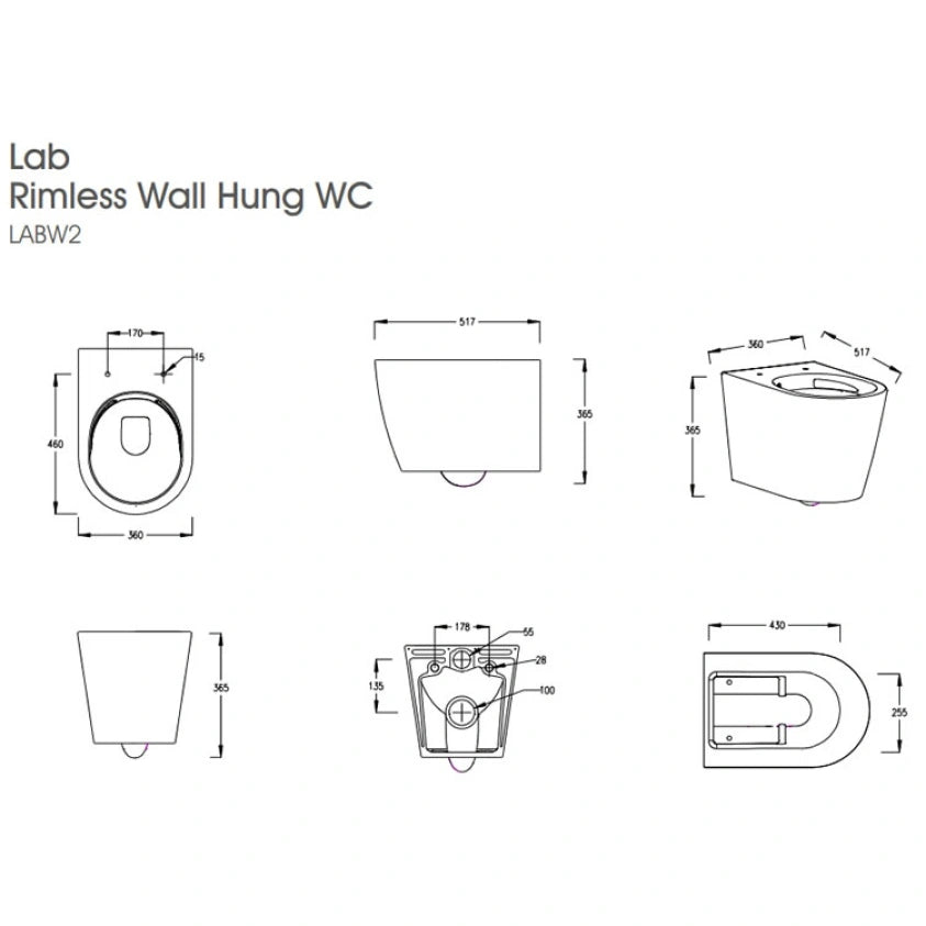 The White Space Lab Rimless Wall Hung Toilet & Soft Close Seat