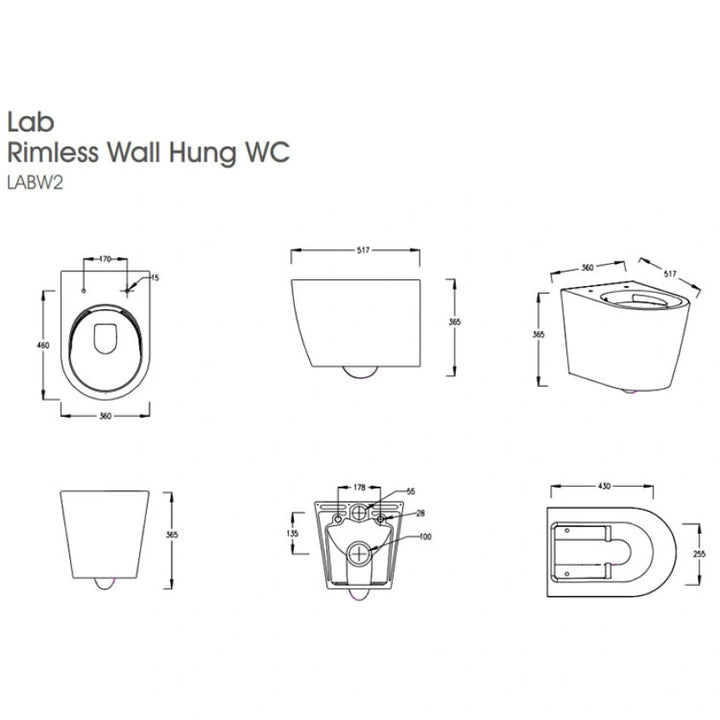 The White Space Lab Rimless Wall Hung Toilet & Soft Close Seat