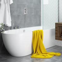 Waters Ebb Hybrid 1660mm Shower Bath