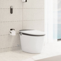 Hansgrohe AddStoris Toilet Roll Holder